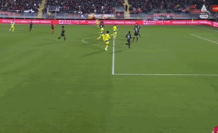 1639257853180079283.gif